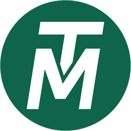 TeamMind Logo